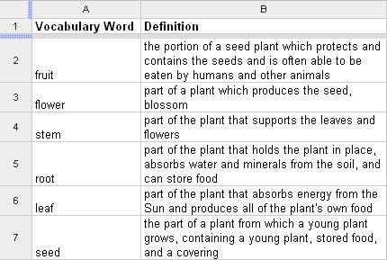 excel sheet with two columns. Left column is labelled, "vocabulary word" and right column is labelled, "definition". For example, the vocabulary word is "fruit" and the definition is "the portion of a seed plant which protects and contains the seeds and is often able to be eaten by humans and other animals"