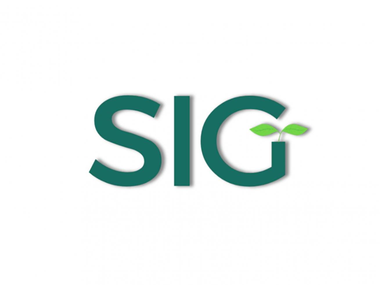 Sustainable Innovation Group logo