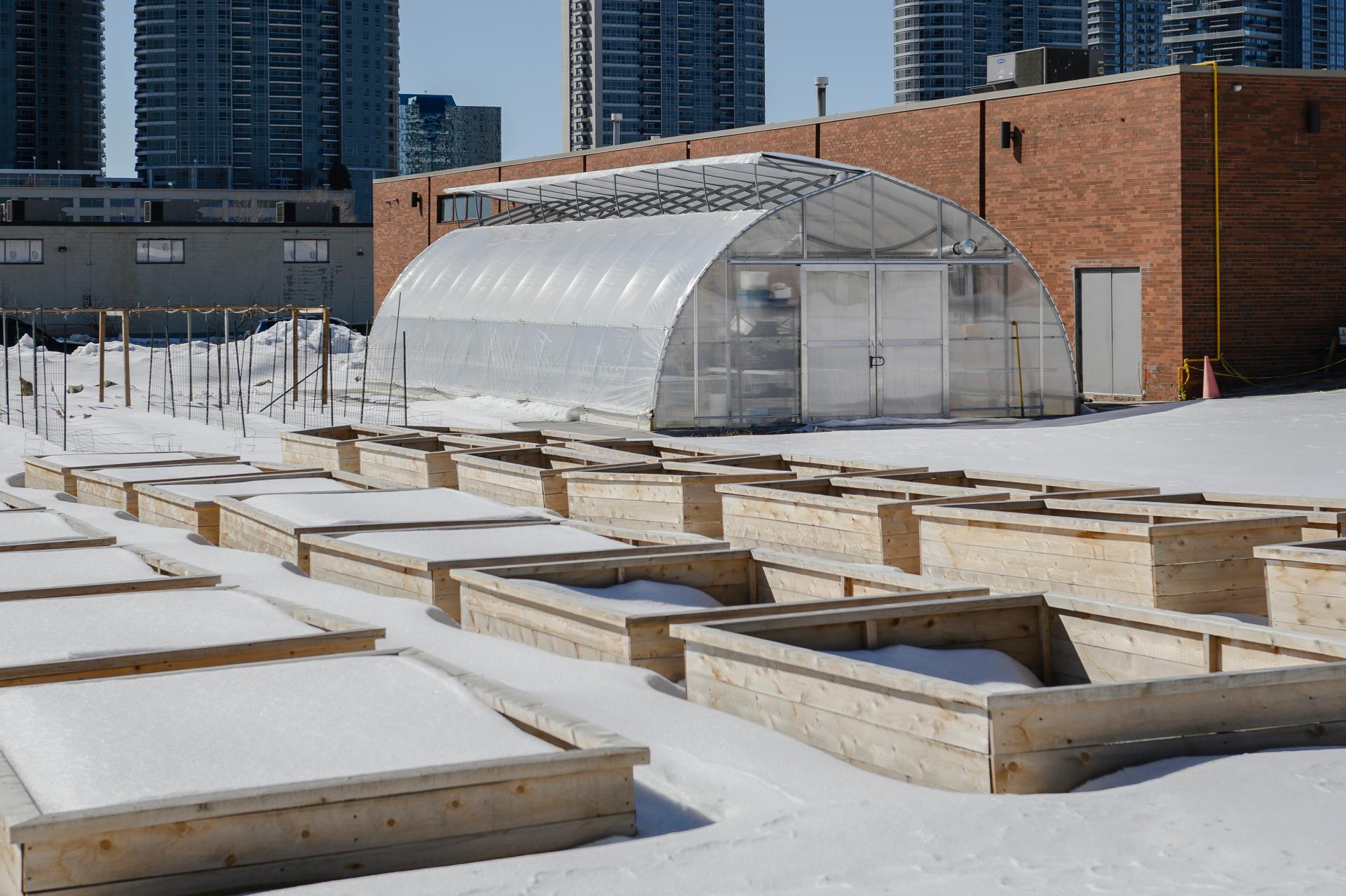 The greenhouse and raised garden beds at CICS.