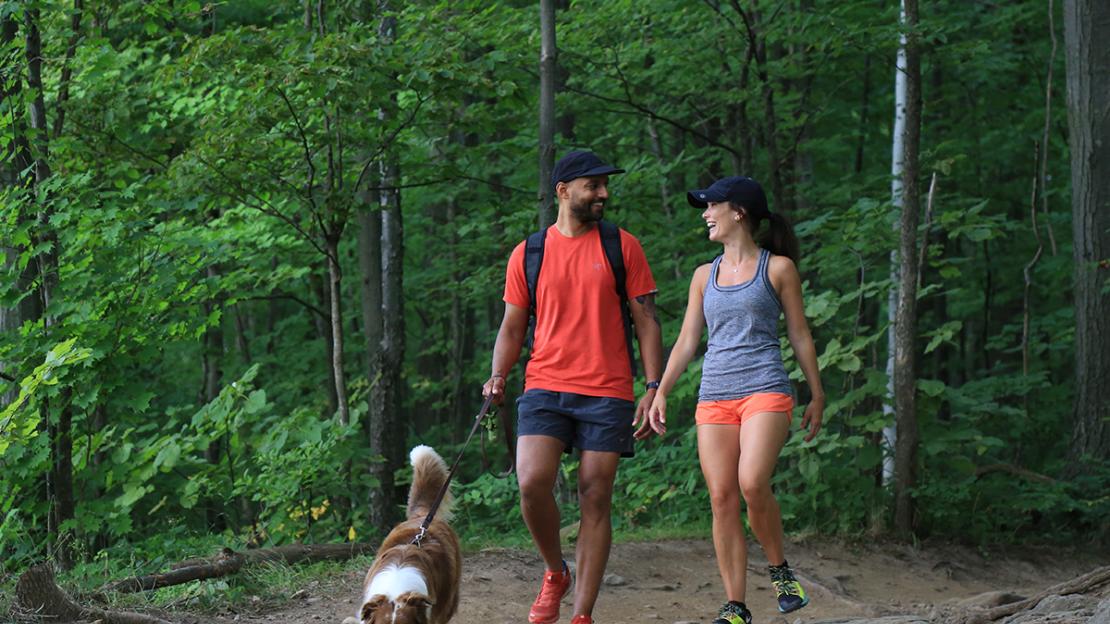 Two hikers walk through a forest with a dog