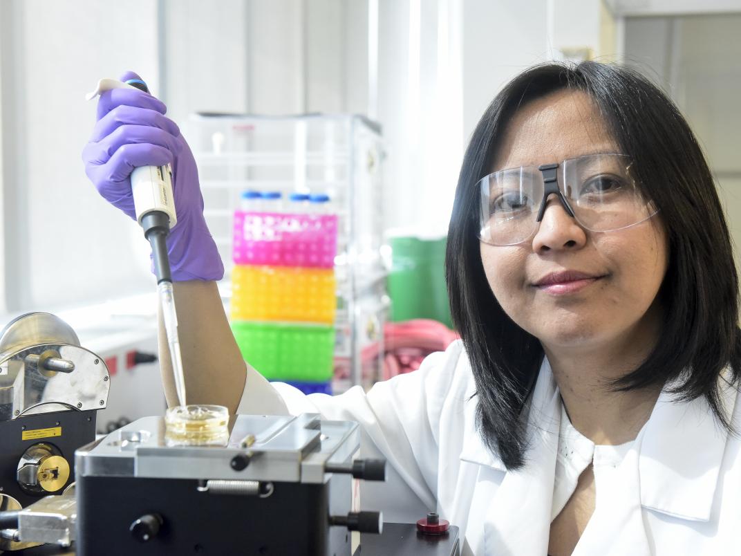 Assistant Professor Ruby Sullan is a biophysical chemist in the Department of Physical and Environmental Science.