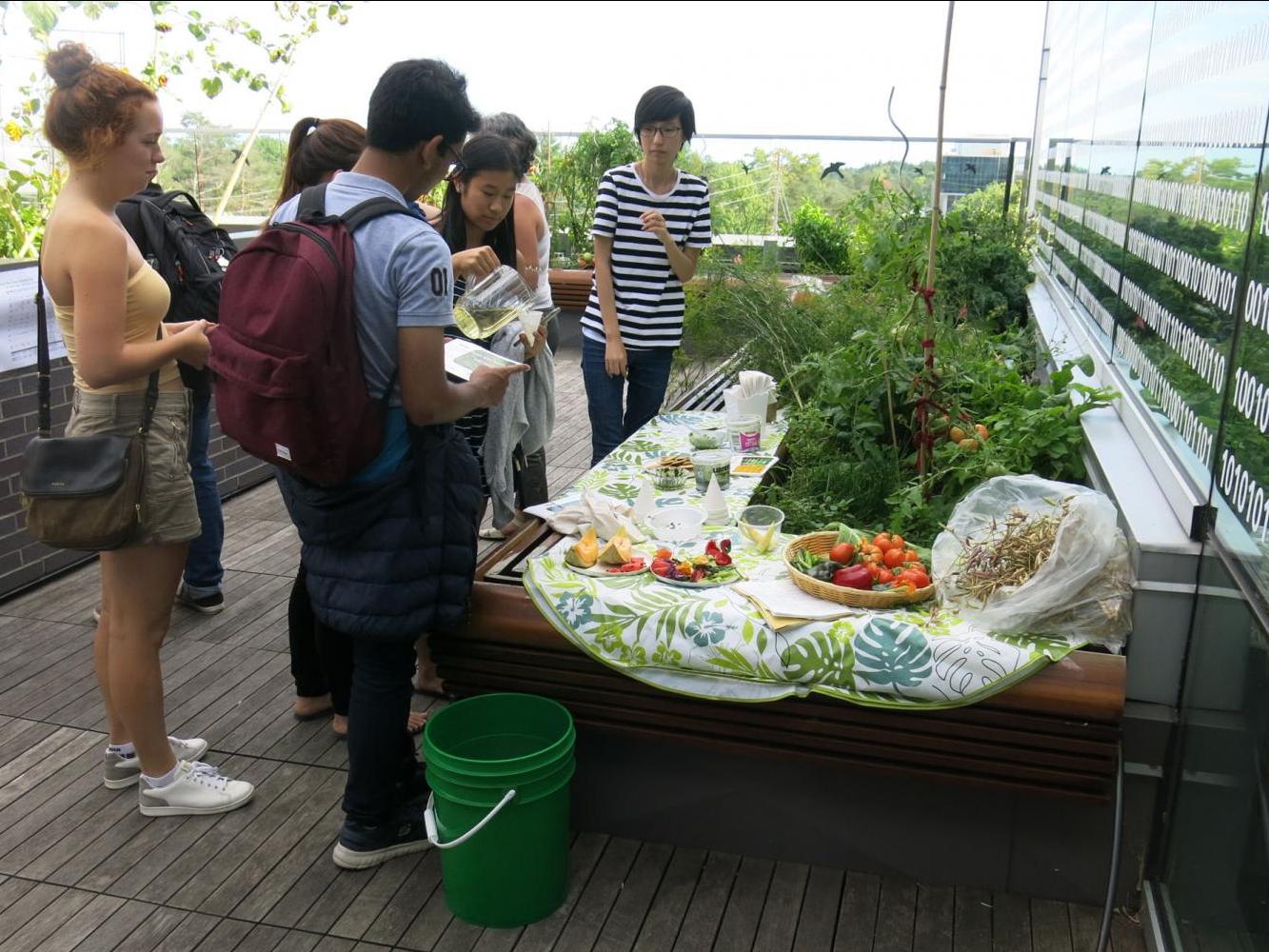 Students trying out fresh grown produce