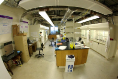 Our Lab
