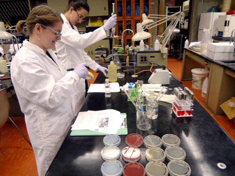 Students performing an experiment