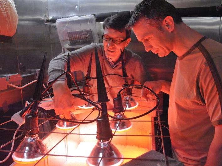 People performing an experiment