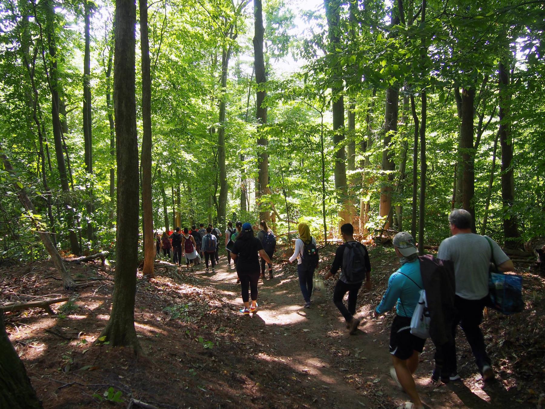 Students walking along a trail in the forest