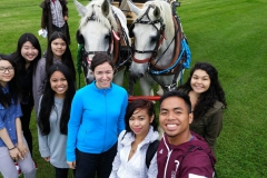 Group photo with the horses