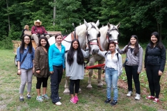 Group of students petting the horses