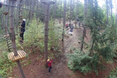 UTSC Outdoor Rec:Treetop Trekking