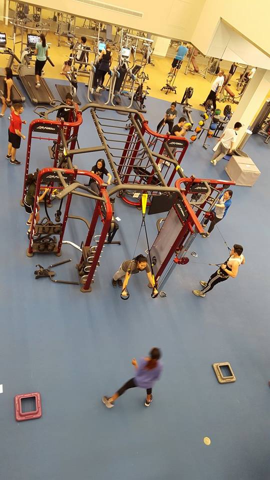 Students using workout equipment