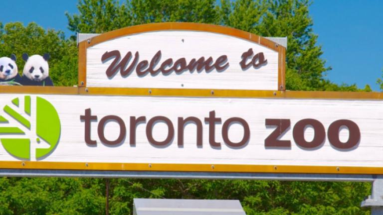 Toronto Zoo Welcome sign at the entrance of the zoo