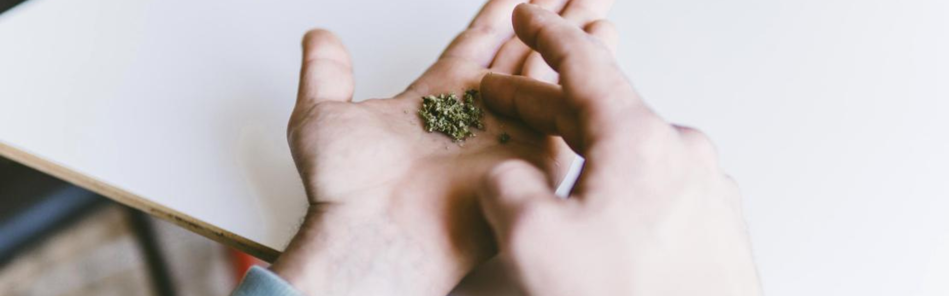 Photo of a hand holding some marijuana