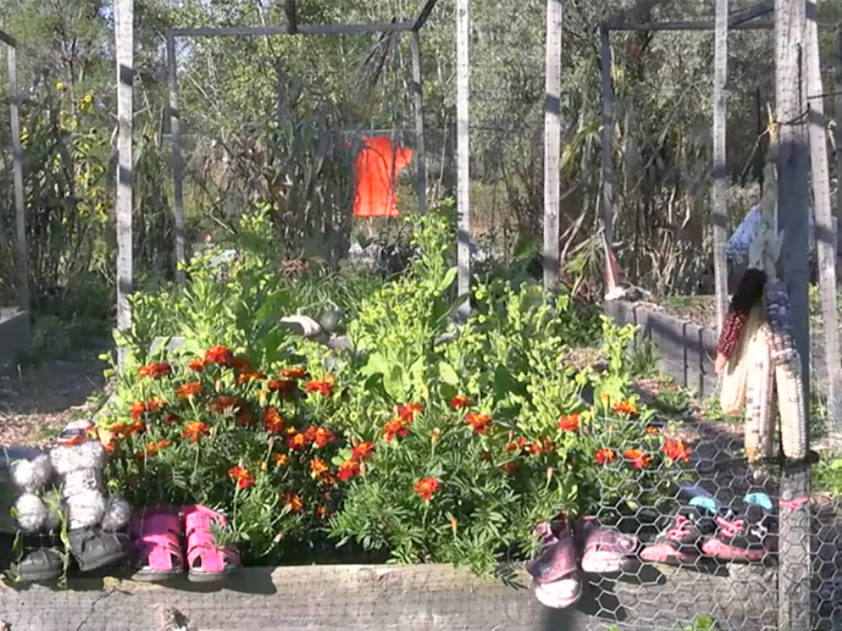 The Indigenous Garden, in sunshine, flowers in bloom, pairs of shoes visible