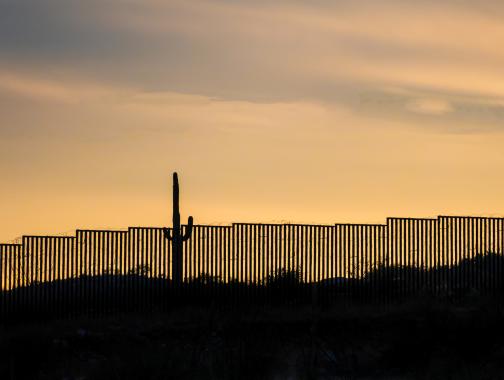 A silhouette of the US-Mexico border wall at sunset, along with a large cactus