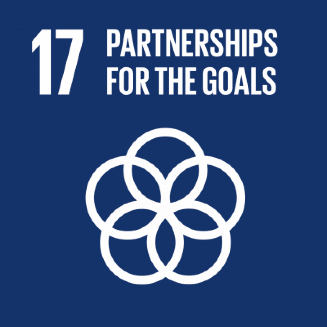 17 Partnership for the goals banner