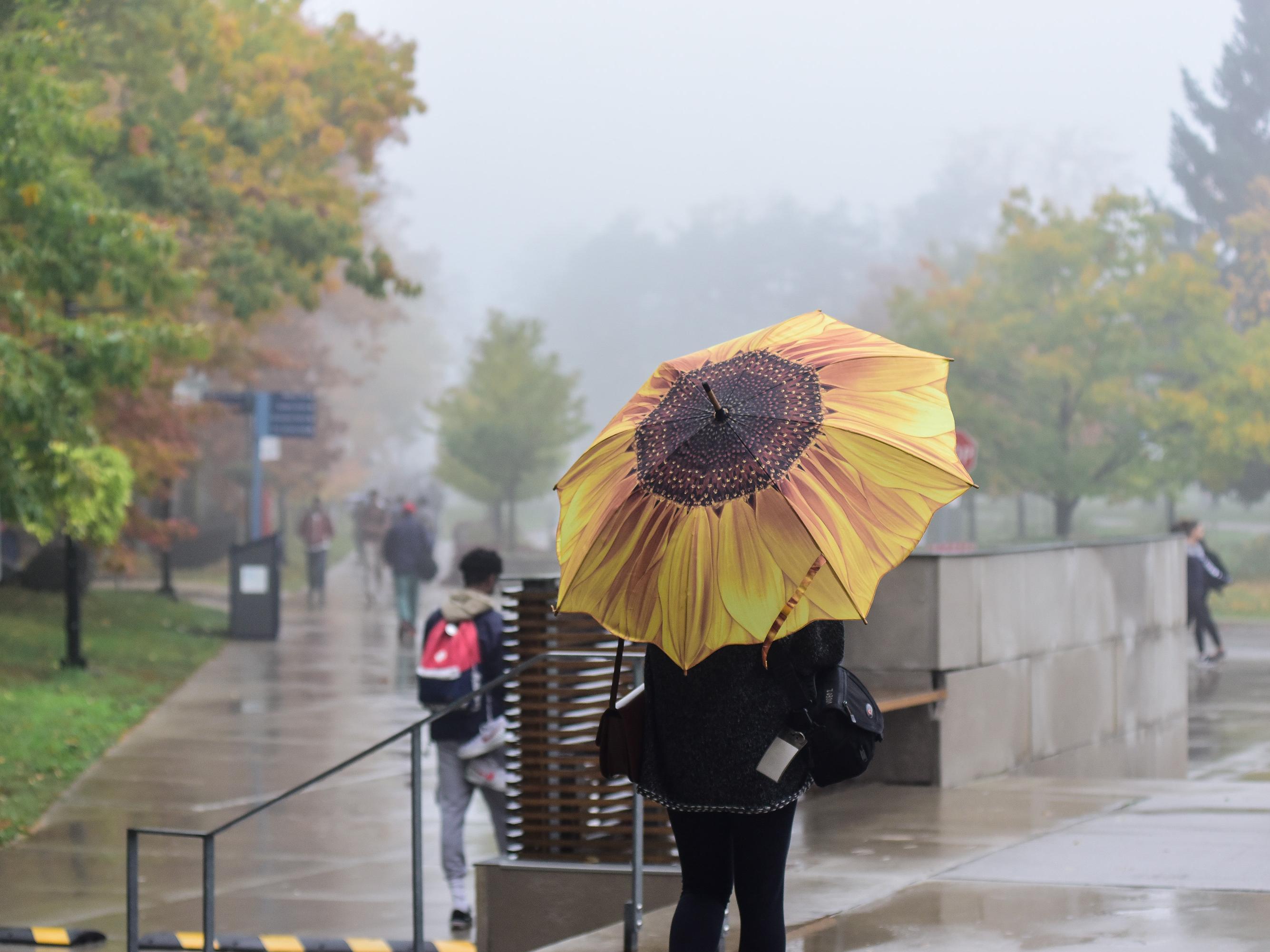 A student with a yellow umbrella in the rain