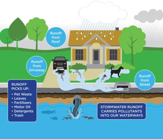 A diagram explaining stormwater runoff pollution