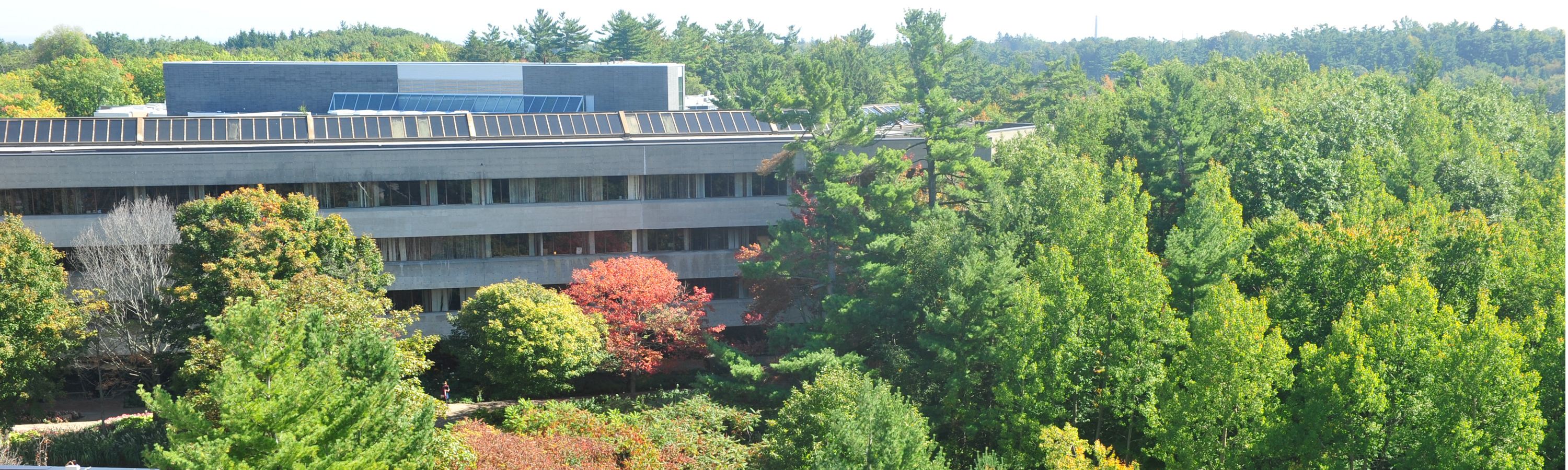 A long-distance photo of Humanities Wing and the forest beside it