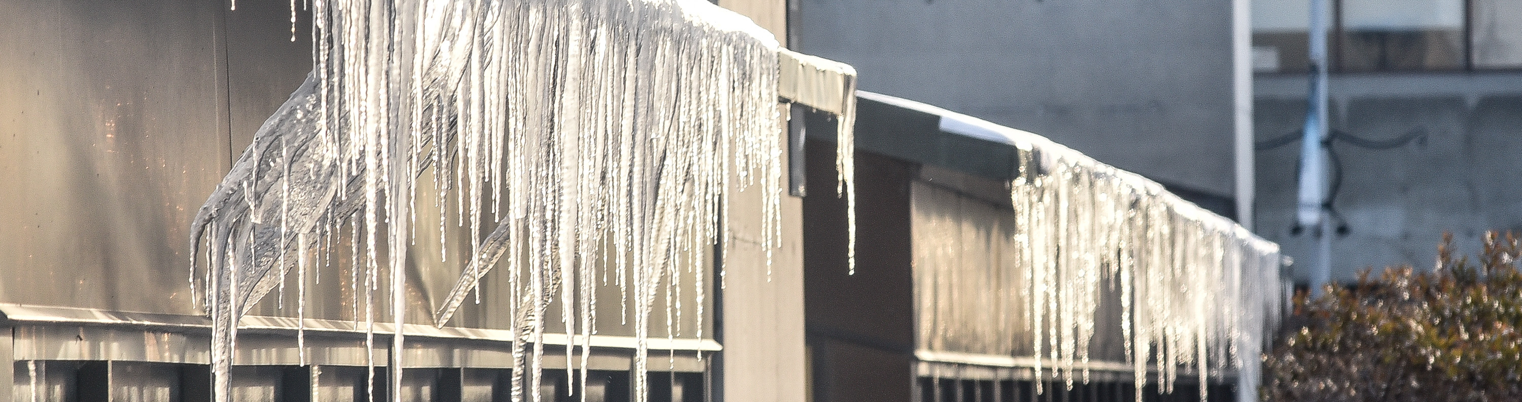 Icicles hanging from a UTSC building