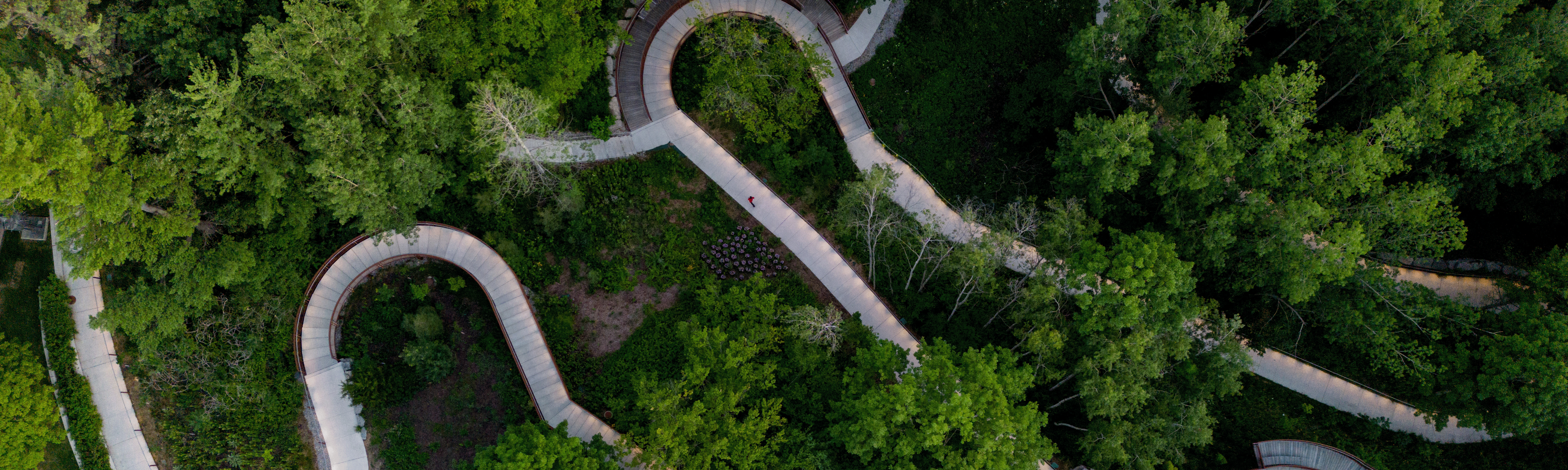 An overhead photo of the Valley Land Trail snaking through the forest