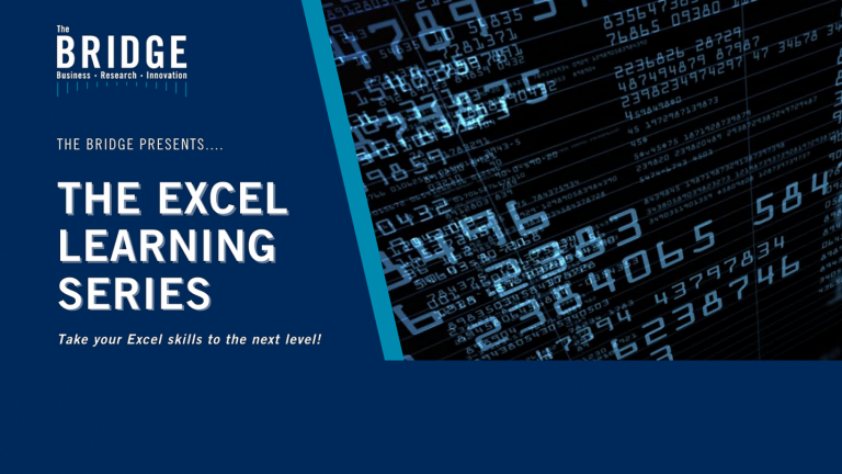 The bridge excel learning series