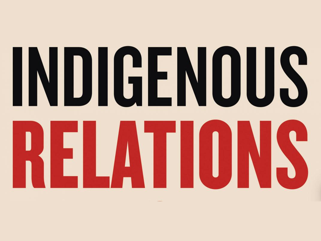 Indigenous insights book cover