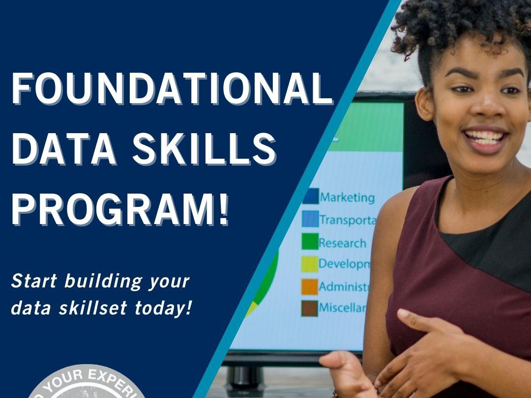 poster for foundation data skills program