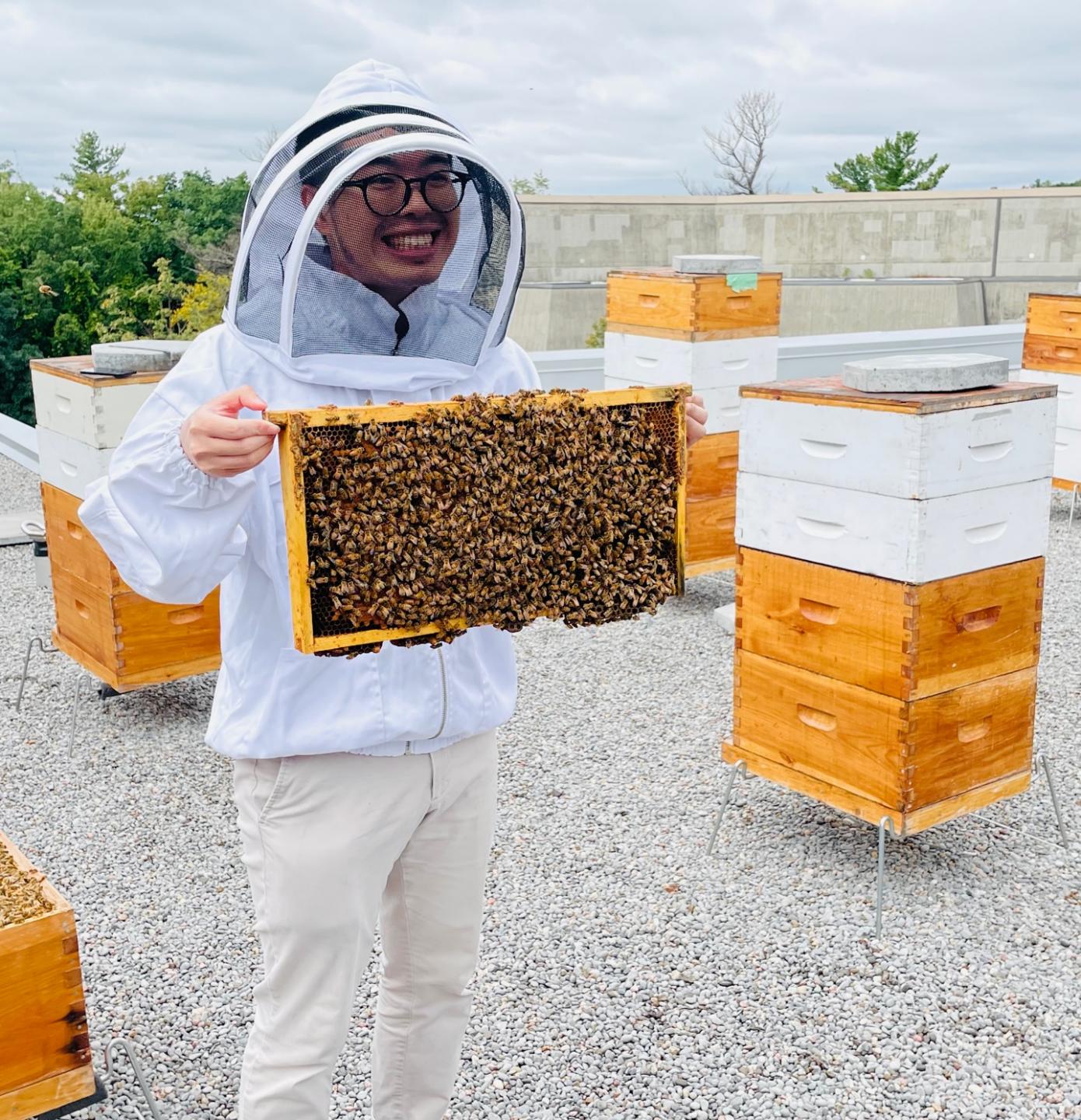 Andrew Sito wearing bee keeper protective gear, holding a tray of live bees at U of T Scarborough rooftop hives