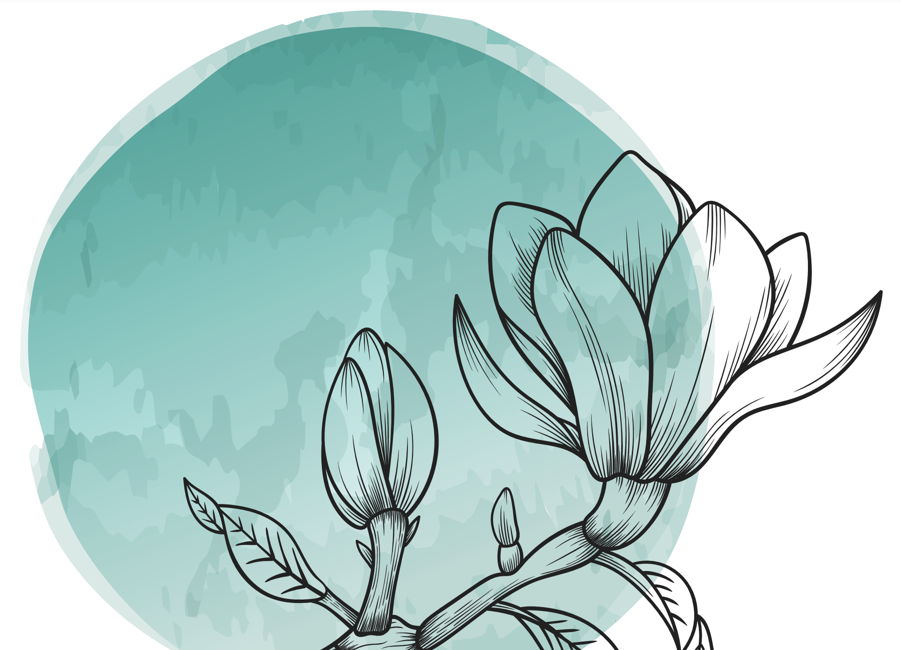 A line drawing of a flower with opening petals silhouetted against a pale green circle in the background.
