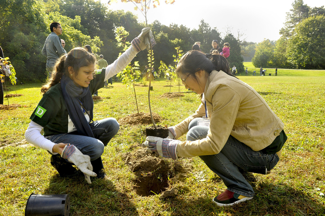 Students planting trees as part of community-engaged learning