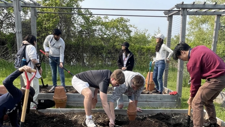 Students digging holes for clay pot irrigation system Campus Farm