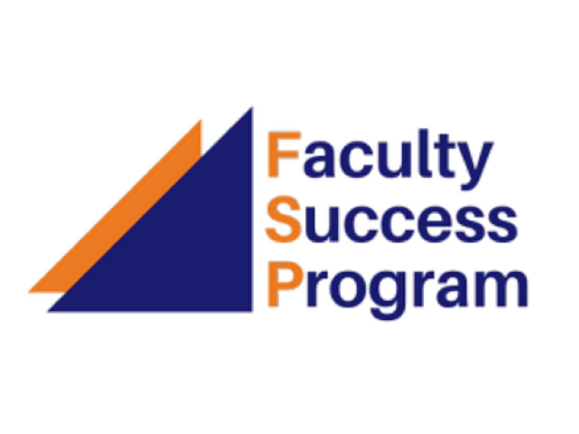 NCFDD Faculty Success Program