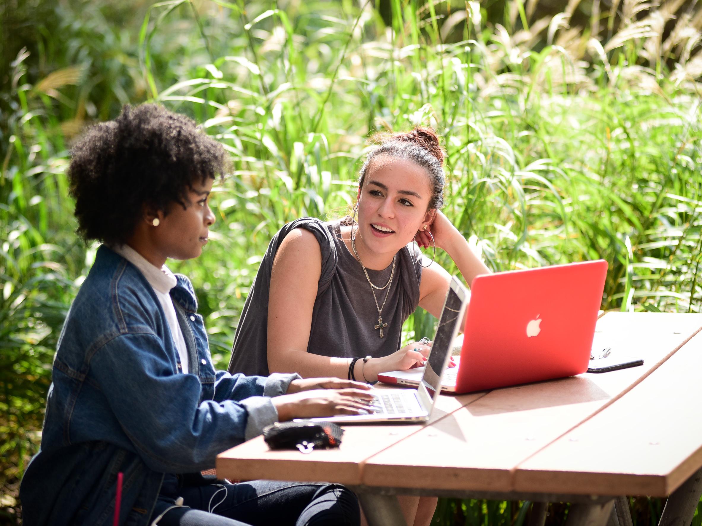 2 diverse students having a discussion at a picnic table with laptops open and ornamental grass in background
