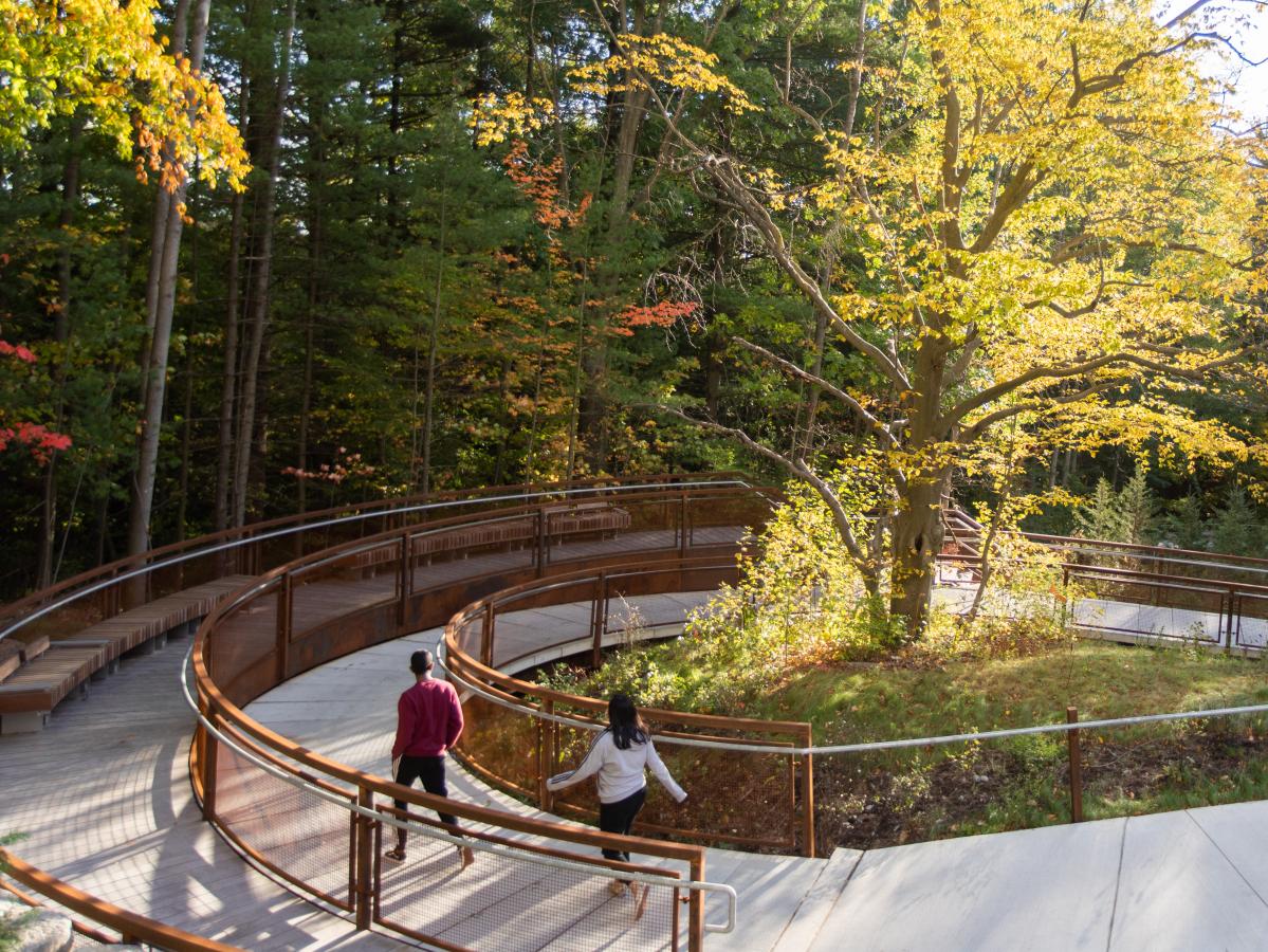 Two people walk down a broad, paved trail into a forest (Valley Trail, UTSC).